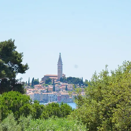 Sini